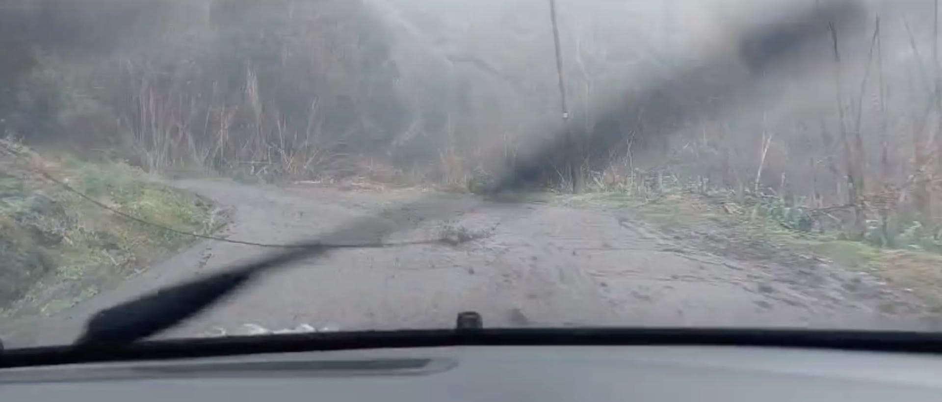 a car driving down a dirt road next to a forest