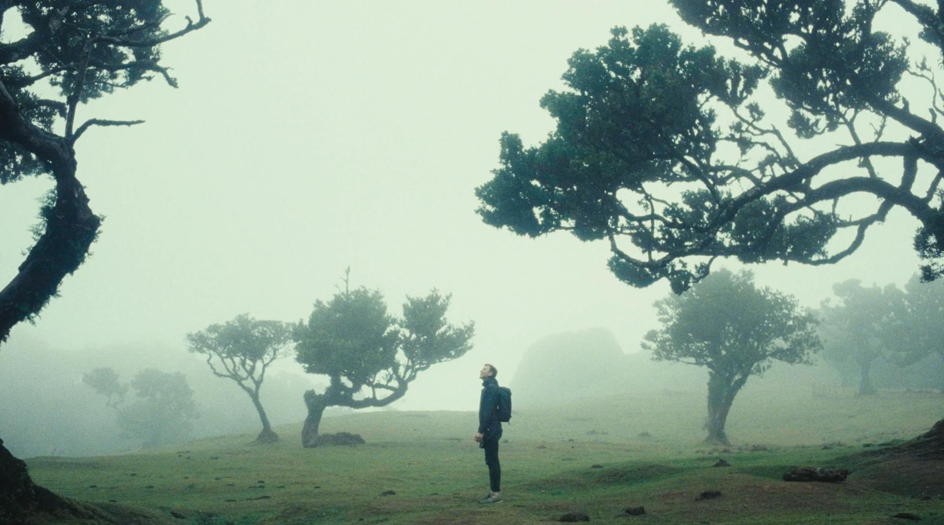 a person standing in a field surrounded by trees