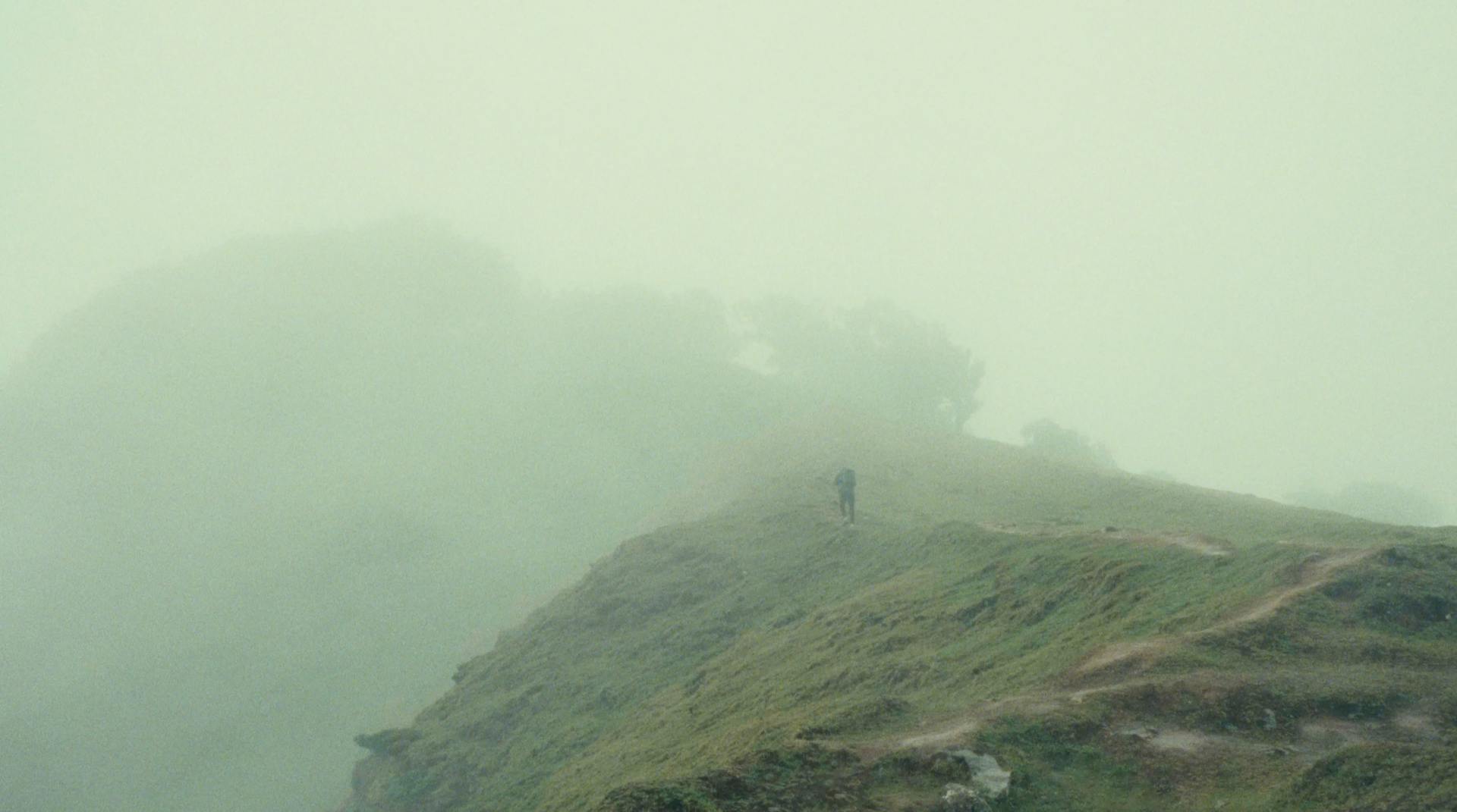 a person standing on top of a lush green hillside