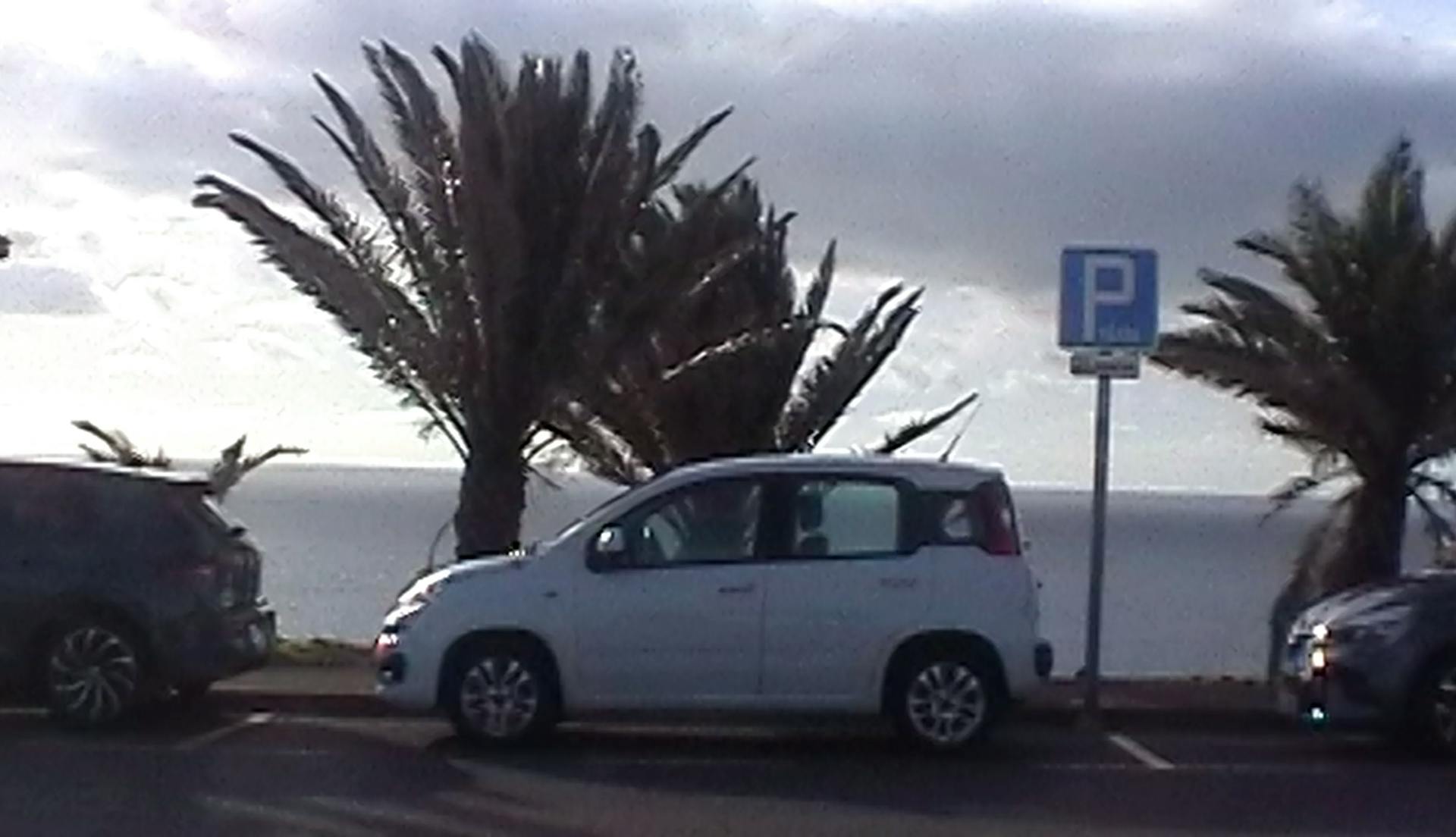 a white car parked in a parking lot next to a beach