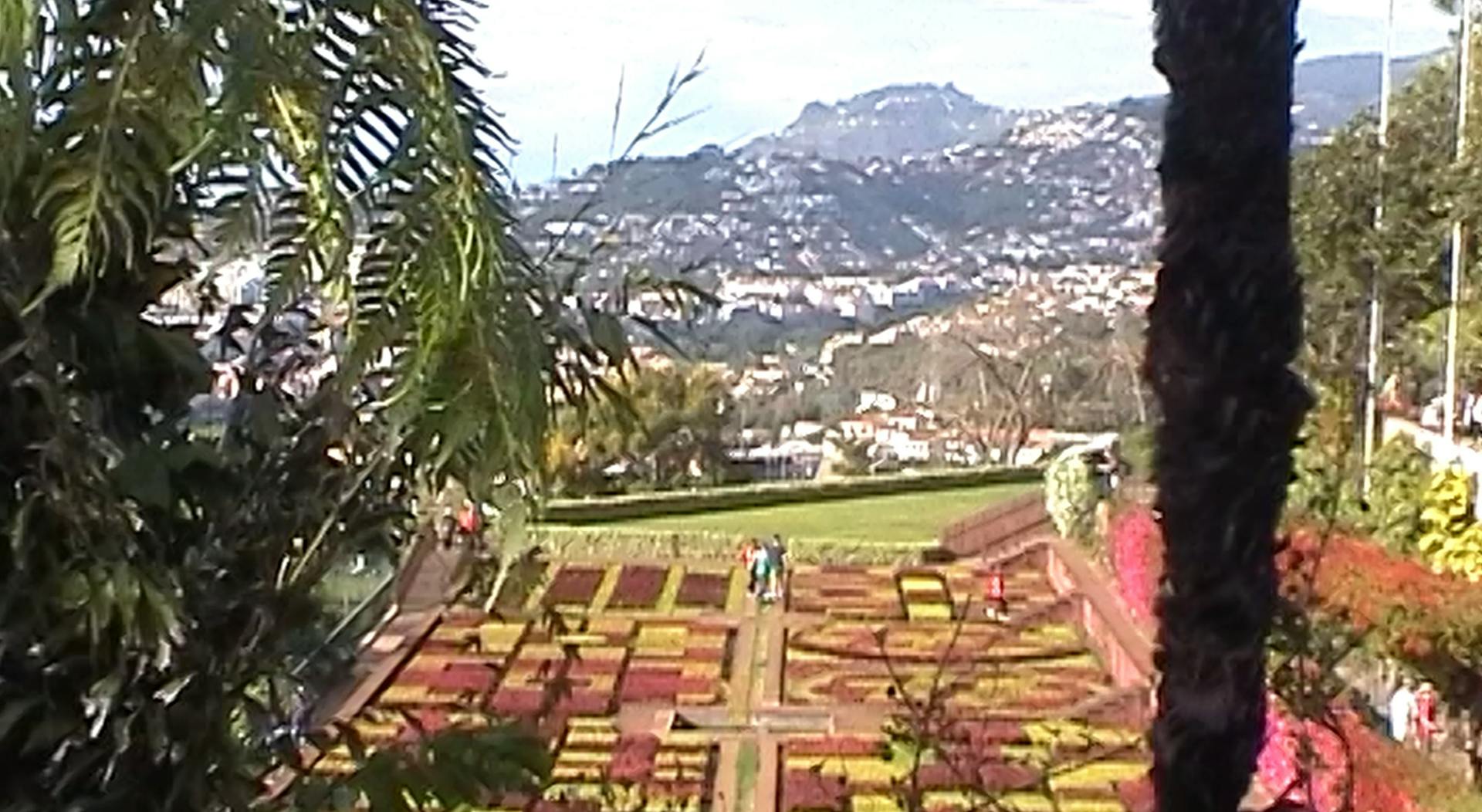 a view of a garden from a distance