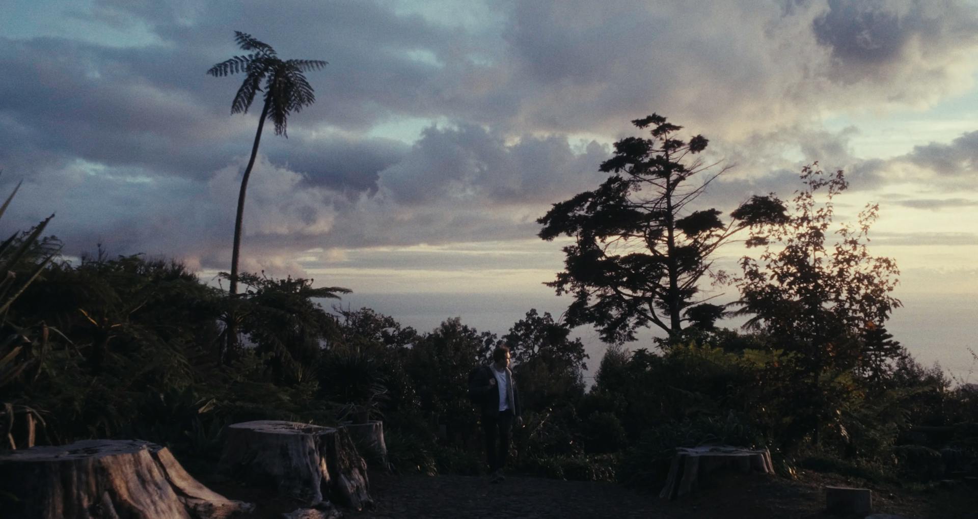 a couple of people standing on top of a lush green hillside