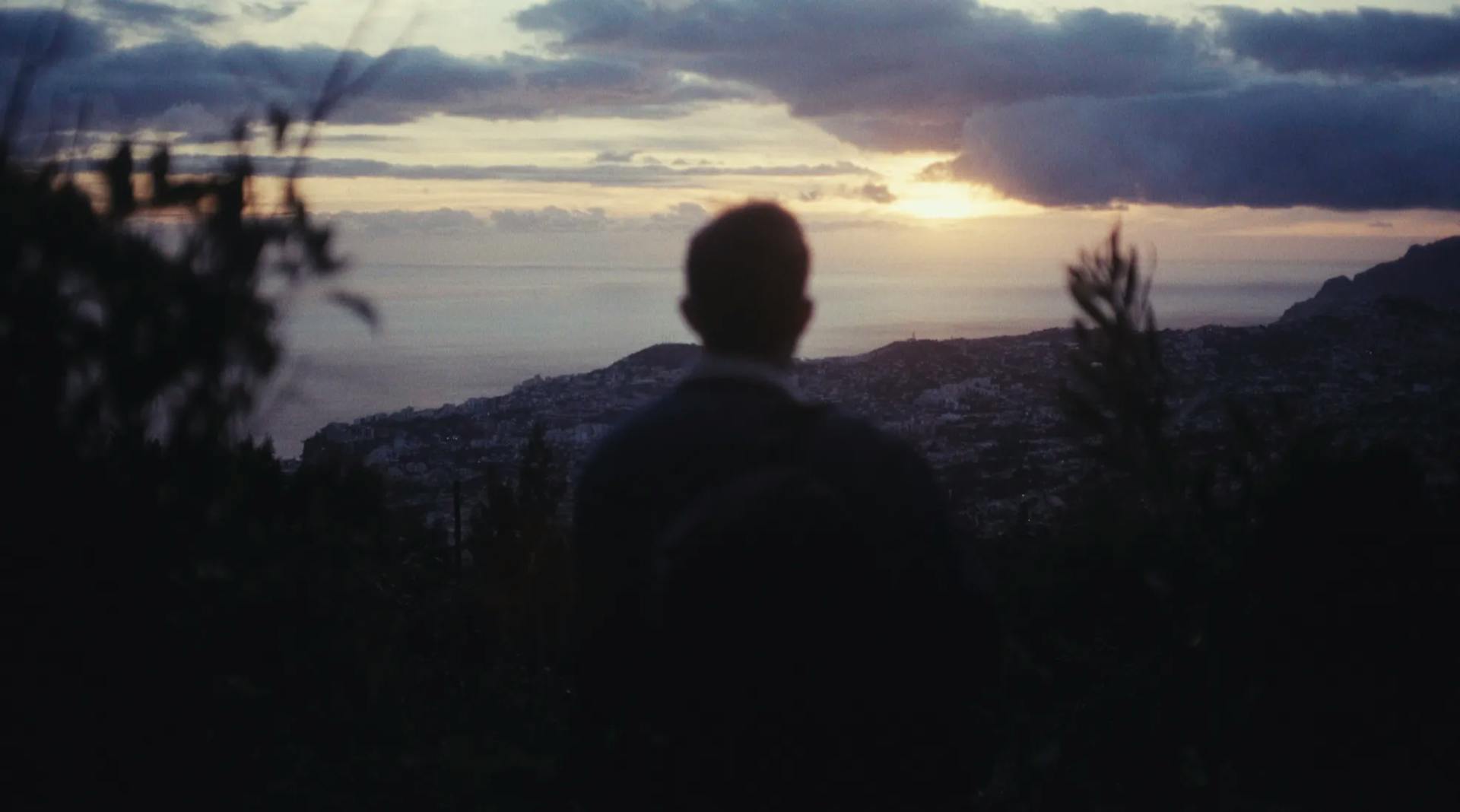 a man standing on top of a lush green hillside